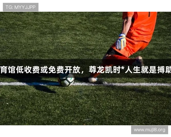 尊龙体育官方版下载app提供丰富的体育赛事覆盖，满足足球篮球等多项体育爱好者的投注需求